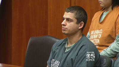 ABD'de seri kedi katiline 16 yıl hapis