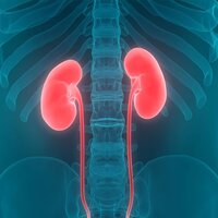 Bu alışkanlıklar böbrek yetmezliği nedeni!