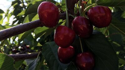 Türkiye için bir ilk gerçekleşiyor