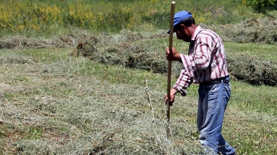 400 bin ton mahsul paramparça