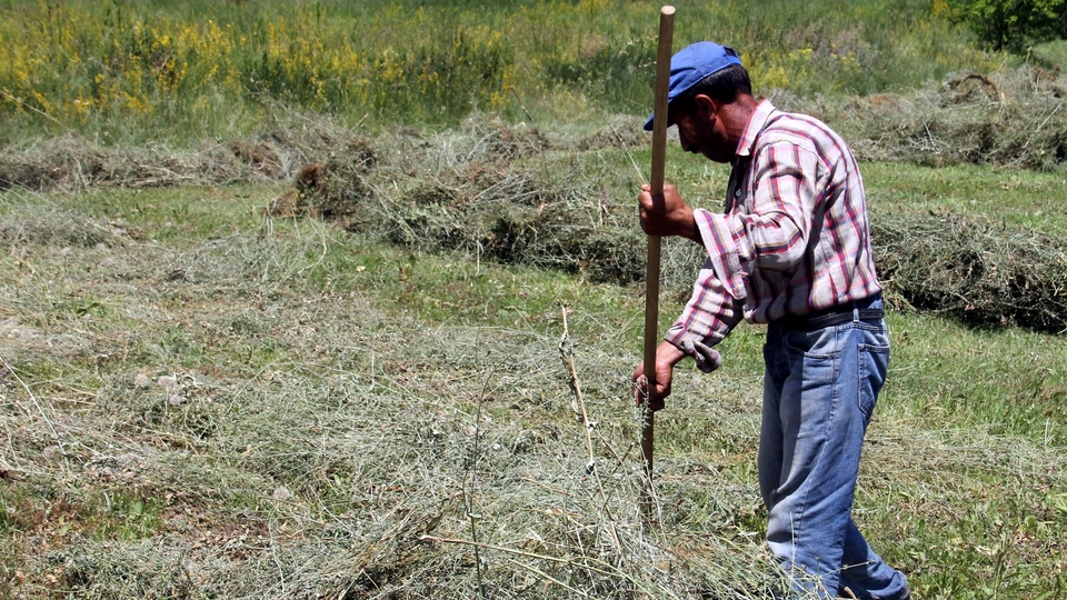 400 bin ton mahsul paramparça