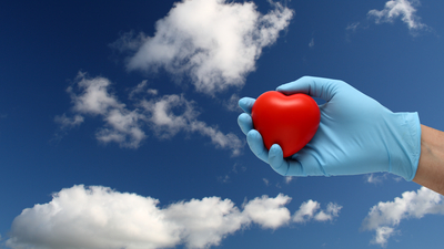 Organlarıyla üç kişiyi yaşama bağlayacak!