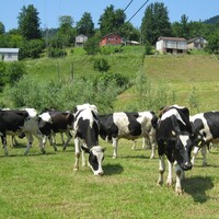 Fiyatta anlaşamadılar!