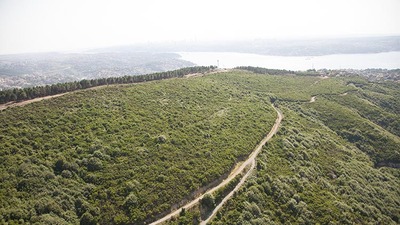 Yatırımcıya yer tahsisinde kolaylık sağlanacak