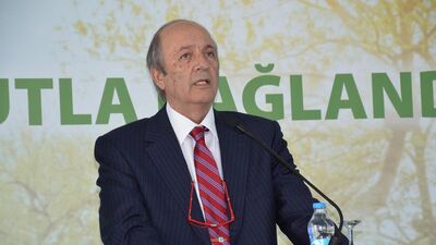 Beşiktaş ve Efes birleşecek mi?