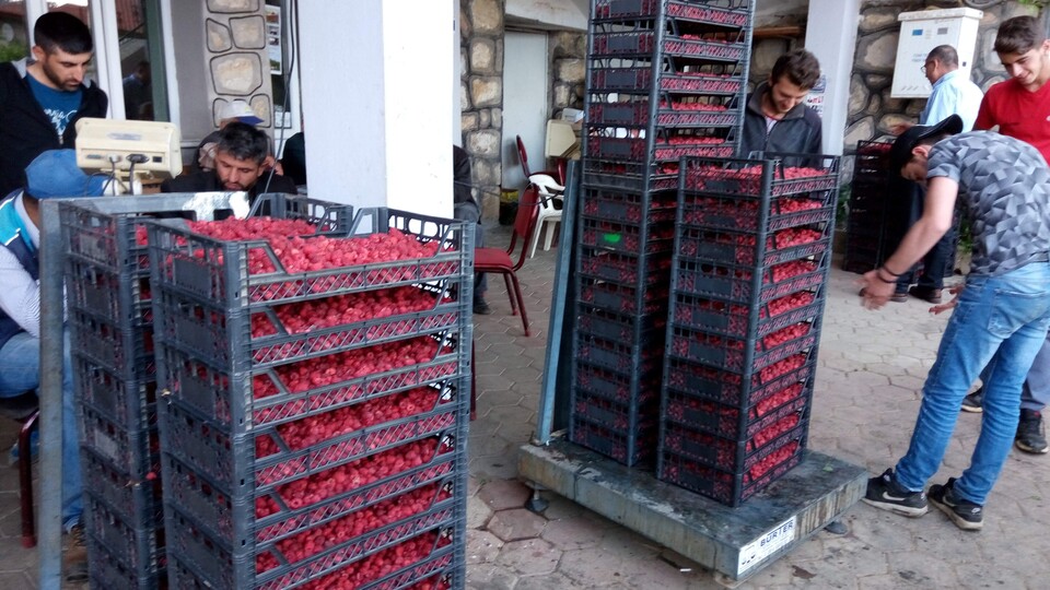 Fiyatı yarı yarıya kadar düştü