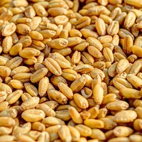 Milyarlarca lira çöpe gidiyor