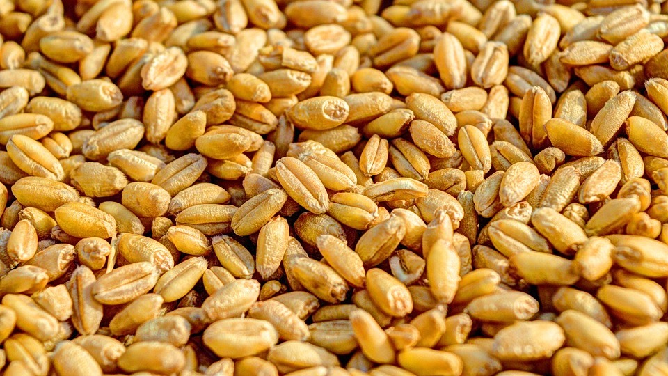 Milyarlarca lira çöpe gidiyor