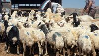 "Bedavadan para kazanmak yok"