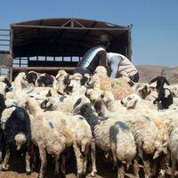 "Bedavadan para kazanmak yok"