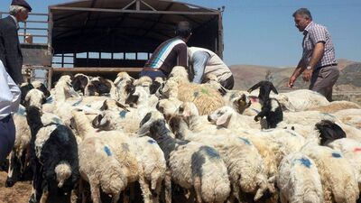 "Bedavadan para kazanmak yok"