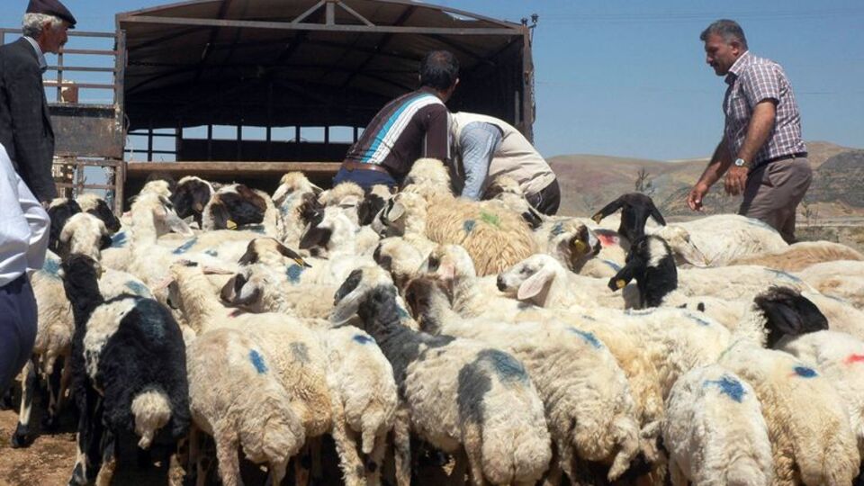"Bedavadan para kazanmak yok"