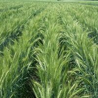 Meltem, Doruk, Ünsal ve Poyraz...