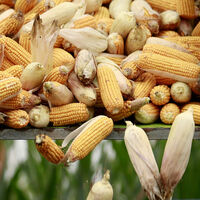 Aşırı sıcaklarda tüketmeniz gereken 11 besin!