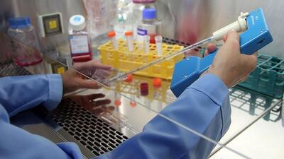 İlk kez insan geni embriyosu değiştirildi