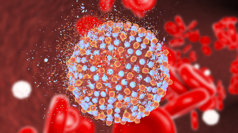 Hepatite yol açan faktörler! İşte hepatite dair merak edilenler...