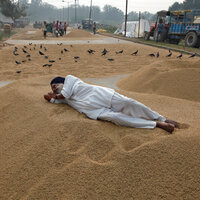 Şoke eden rapor: Sıcaklık arttıkça intihar ediyorlar!