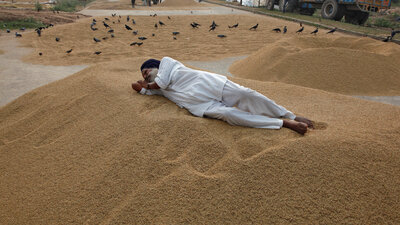 Şoke eden rapor: Sıcaklık arttıkça intihar ediyorlar!