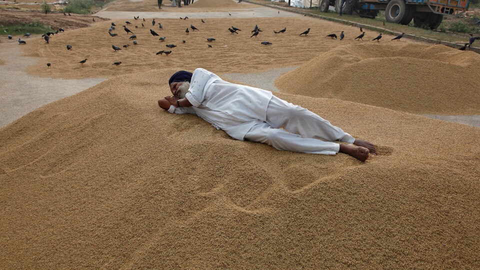 Şoke eden rapor: Sıcaklık arttıkça intihar ediyorlar!