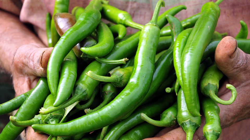 İşte İstanbul'un zam şampiyonu