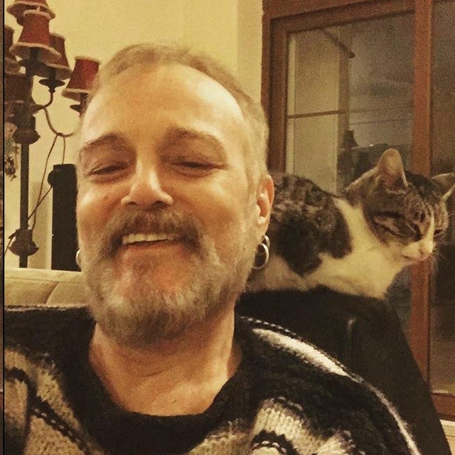Kedilerini hayranları sahiplendi