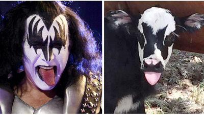 Rock yıldızı Gene Simmons'un kayıp ikizi bulundu!
