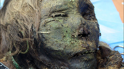 Kutup güzeli bulundu