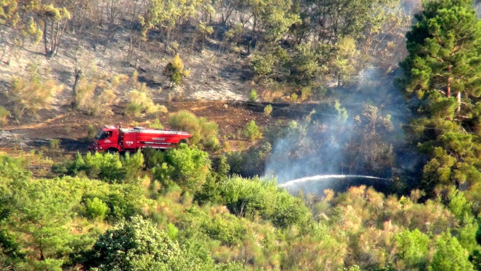 Çanakkale'de orman yangını