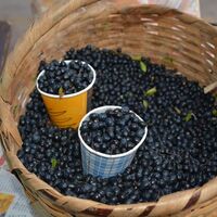 Satın almak için sıraya giriyorlar!