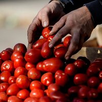 Rusya'dan domatesle ilgili çok önemli açıklama
