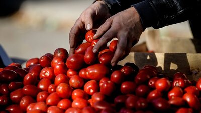 Rusya'dan domatesle ilgili çok önemli açıklama
