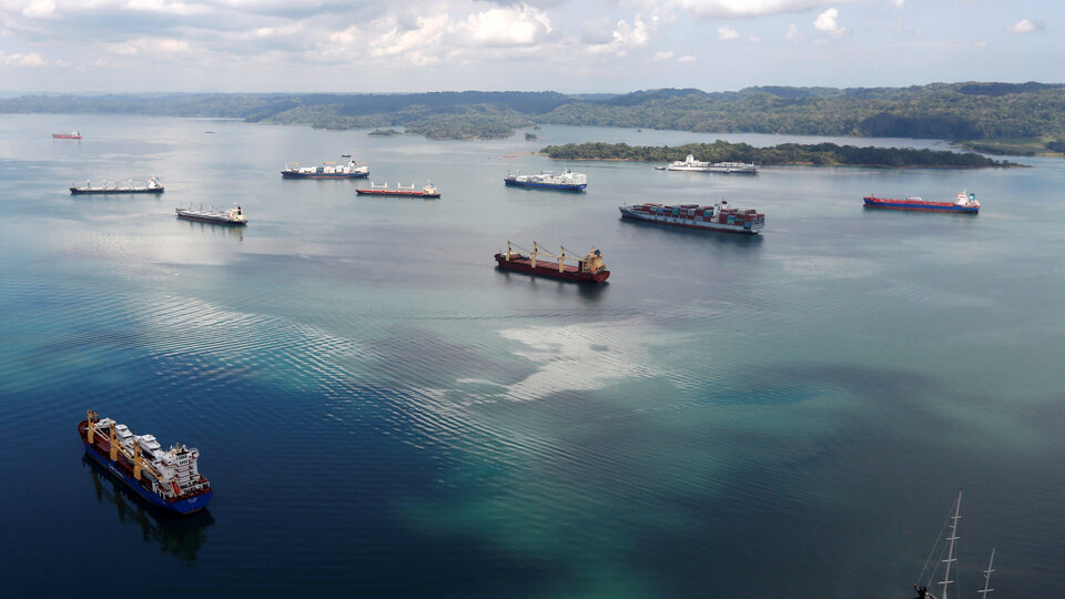 Yüzde 90'ı tehdit altında... Tersine dönüyor