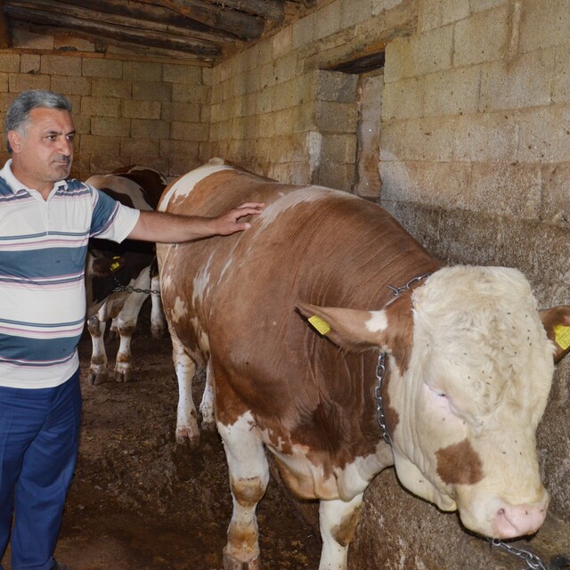 Yola çıktılar! Her biri 'bir' ton
