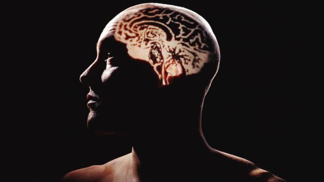 Alzheimer’a karşı cilt hücresinden minyatür beyin