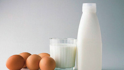 Düşüğe karşı B3 vitamini