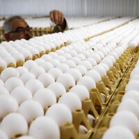 Avrupa'nın korkusu Türkiye'ye yarayacak!