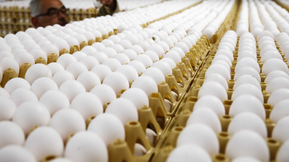 Avrupa'nın korkusu Türkiye'ye yarayacak!