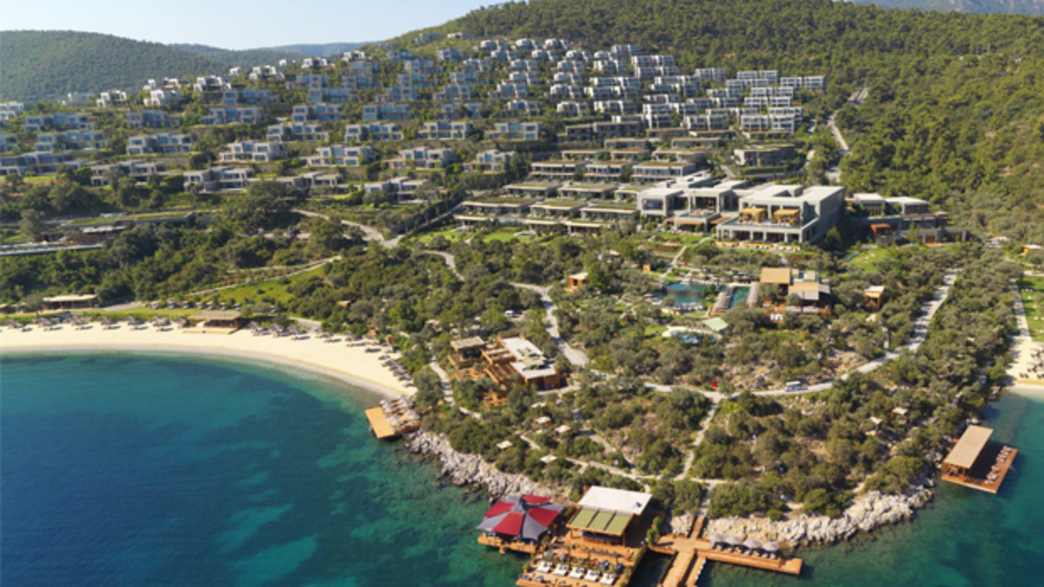 Mandarin'i yine domuzlar bastı