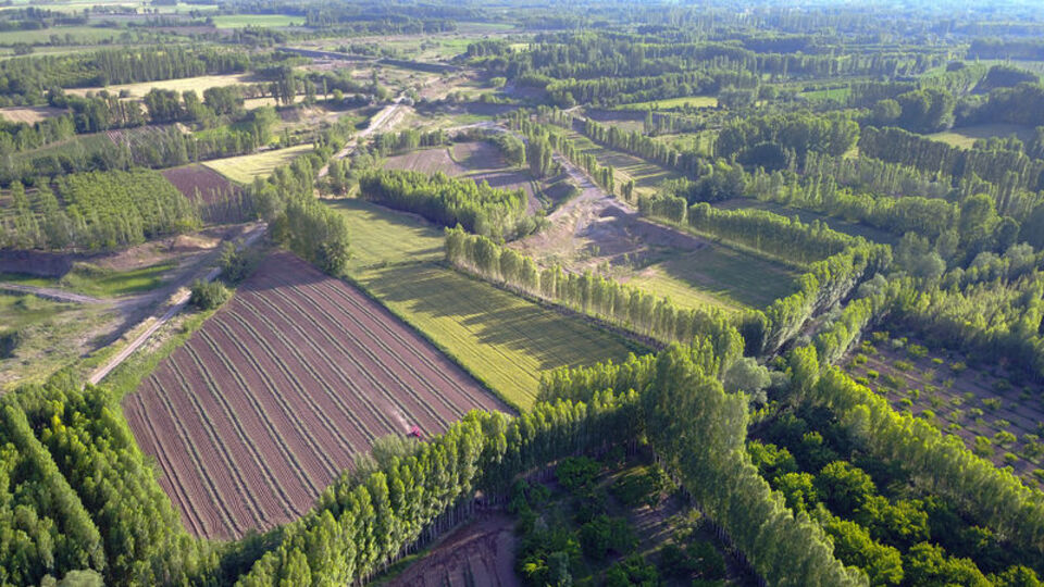 Tarım-ÜFE Temmuz ayında yüzde 2.28 azaldı