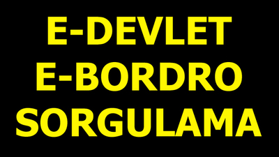 e-Devlet e-Bordro sorgulama ekranı!