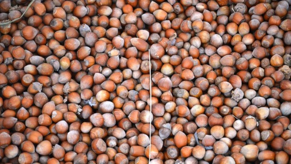 Üreticilerden '15 lira' kampanyası