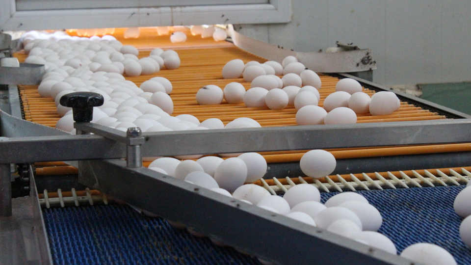 Avrupa'daki kriz Afyonkarahisar'a yaradı