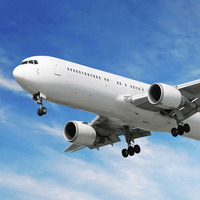 Alman havacılık devi iflas ediyor