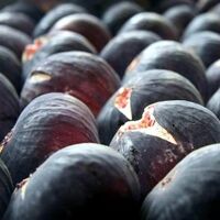 7 liradan ihracatı başlıyor