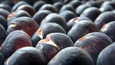 7 liradan ihracatı başlıyor