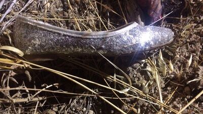 Otopsi tamamlandı! Korkunç gerçek ortaya çıktı