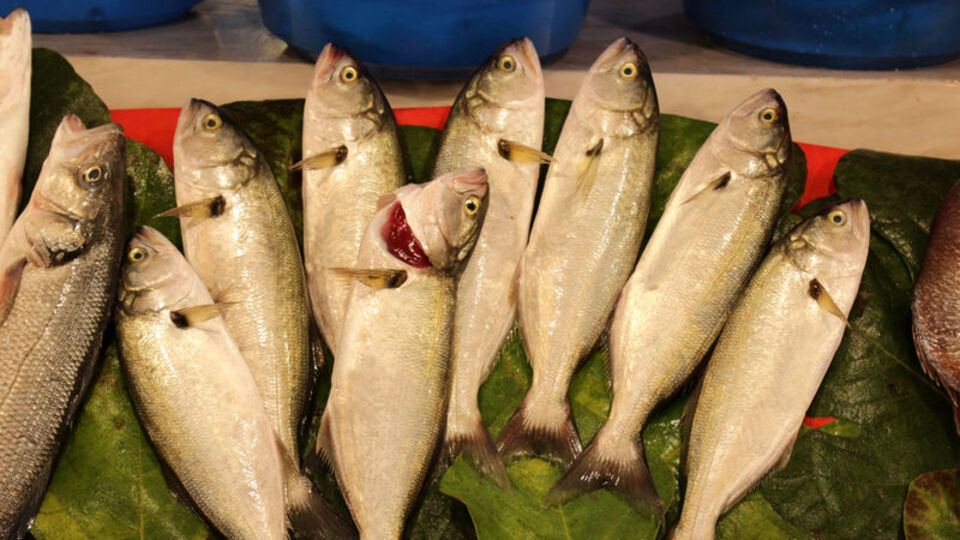 Bu sezon da yüzler gülecek