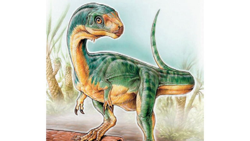 Gizem sonunda çözüldü