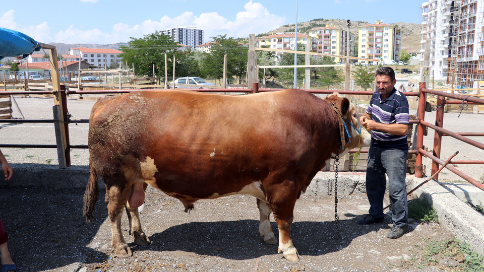 "Rambo"sunu arabayla takas edecek