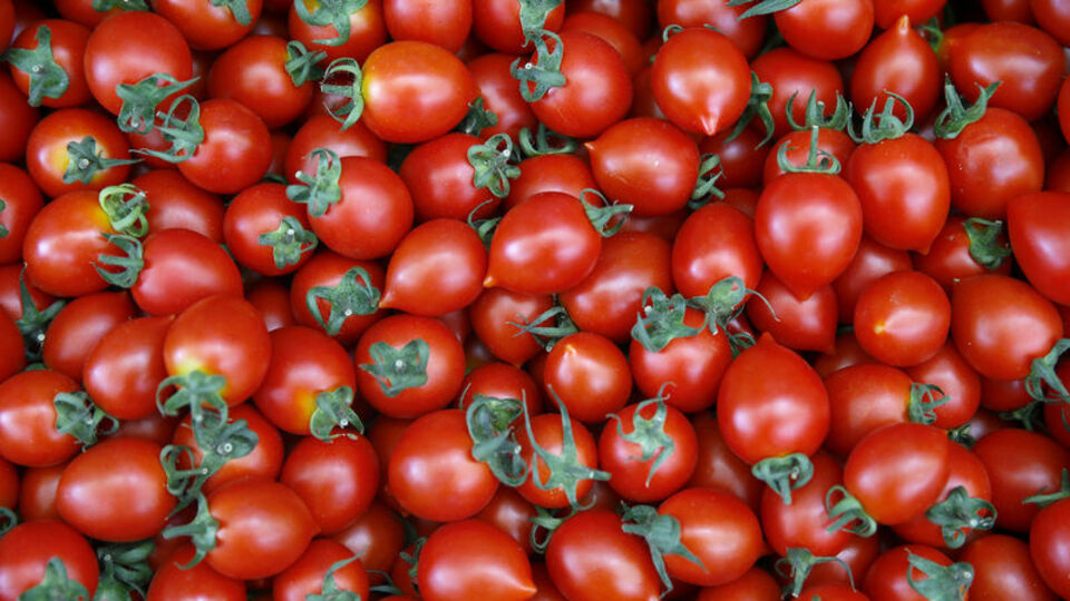 Bu yıl bir ilk gerçekleşti